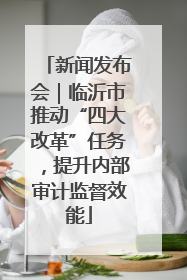 新闻发布会｜临沂市推动“四大改革”任务，提升内部审计监督效能