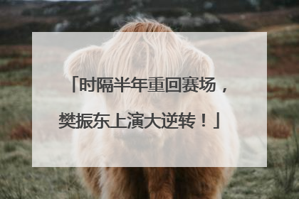 时隔半年重回赛场，樊振东上演大逆转！