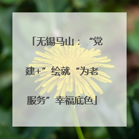 无锡马山：“党建+”绘就“为老服务”幸福底色
