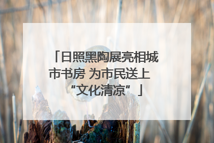 日照黑陶展亮相城市书房 为市民送上“文化清凉”