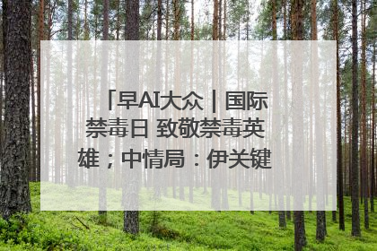 早AI大众｜国际禁毒日 致敬禁毒英雄；中情局：伊关键核设施被摧毁