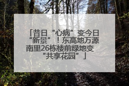 昔日“心病”变今日“新景”！东高地万源南里26栋楼前绿地变“共享花园”