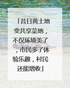 昔日黄土地变共享菜地,不仅环境美了,市民多了体验乐趣,村民还能增收
