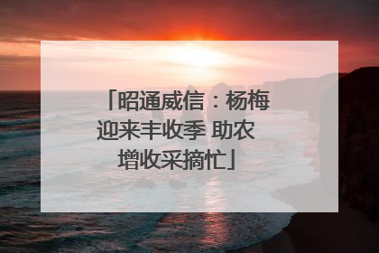 昭通威信：杨梅迎来丰收季 助农增收采摘忙