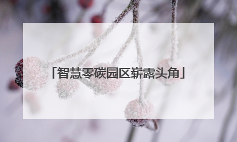 智慧零碳园区崭露头角