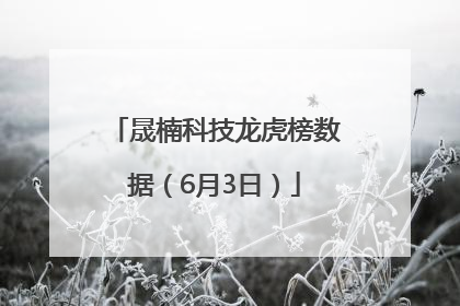晟楠科技龙虎榜数据（6月3日）