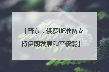普京：俄罗斯准备支持伊朗发展和平核能