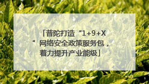 普陀打造“1+9+X”网络安全政策服务包，着力提升产业能级