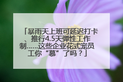 暴雨天上班可延迟打卡、推行4.5天弹性工作制……这些企业花式宠员工你“慕”了吗？