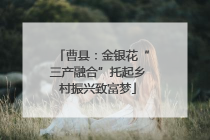 曹县：金银花“三产融合”托起乡村振兴致富梦