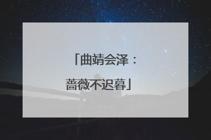 曲靖会泽：蔷薇不迟暮