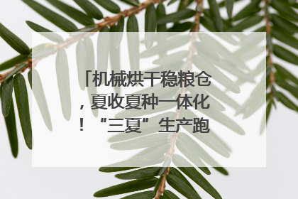 机械烘干稳粮仓，夏收夏种一体化！“三夏”生产跑出加速度｜麦报