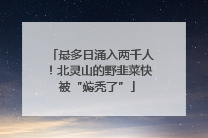 最多日涌入两千人！北灵山的野韭菜快被“薅秃了”