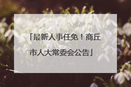 最新人事任免！商丘市人大常委会公告