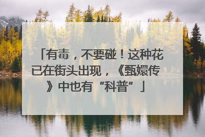 有毒，不要碰！这种花已在街头出现，《甄嬛传》中也有“科普”