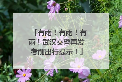 有雨！有雨！有雨！武汉交警再发考前出行提示！