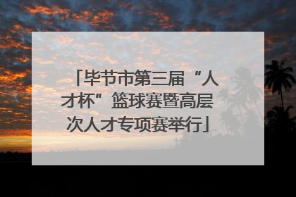 毕节市第三届“人才杯”篮球赛暨高层次人才专项赛举行