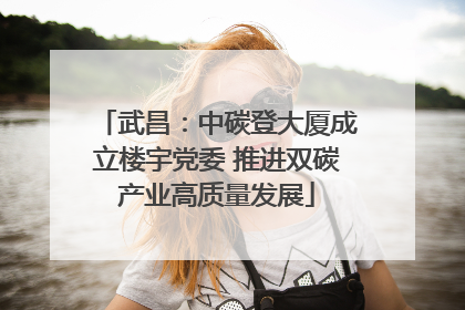 武昌：中碳登大厦成立楼宇党委 推进双碳产业高质量发展