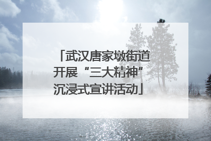 武汉唐家墩街道开展“三大精神”沉浸式宣讲活动