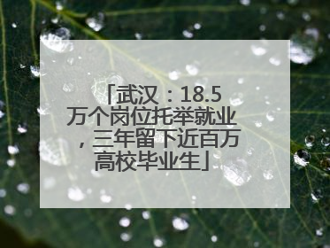 武汉：18.5万个岗位托举就业，三年留下近百万高校毕业生