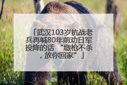 武汉103岁抗战老兵再喊80年前劝日军投降的话 “缴枪不杀，放你回家”