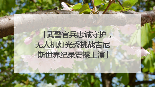 武警官兵忠诚守护，无人机灯光秀挑战吉尼斯世界纪录震撼上演