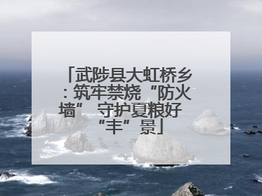 武陟县大虹桥乡：筑牢禁烧“防火墙” 守护夏粮好“丰”景