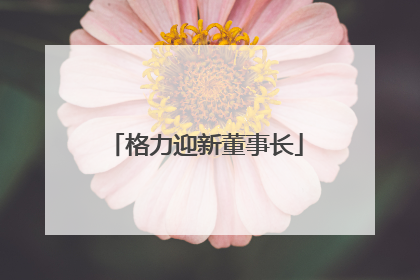 格力迎新董事长