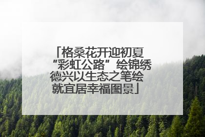 格桑花开迎初夏 “彩虹公路”绘锦绣 德兴以生态之笔绘就宜居幸福图景