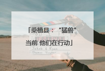 桑植县：“猛兽”当前 他们在行动