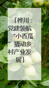 桦川：党建领航“小香瓜”撬动乡村产业发展
