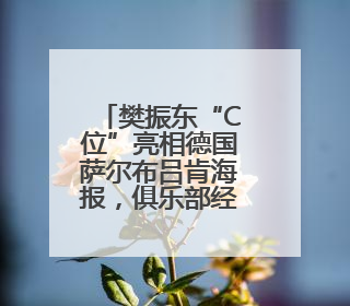 樊振东“C位”亮相德国萨尔布吕肯海报，俱乐部经理透露其加盟内幕