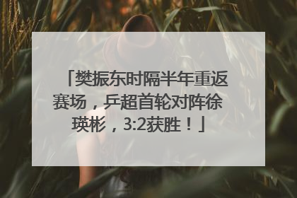 樊振东时隔半年重返赛场，乒超首轮对阵徐瑛彬，3:2获胜！