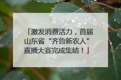激发消费活力，首届山东省“齐鲁新农人”直播大赛完成集结！