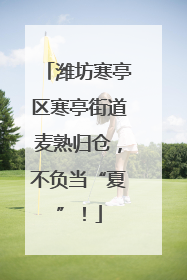 潍坊寒亭区寒亭街道麦熟归仓，不负当“夏”！