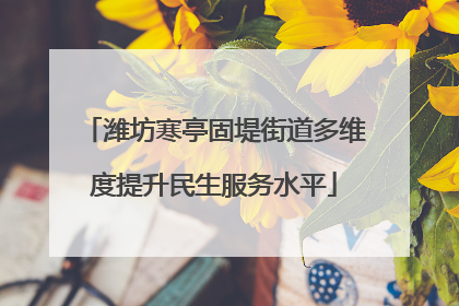潍坊寒亭固堤街道多维度提升民生服务水平