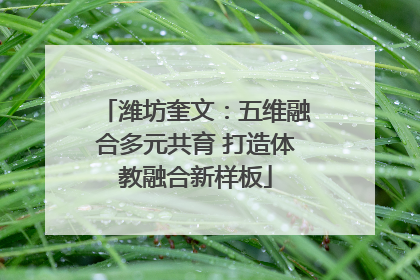 潍坊奎文：五维融合多元共育 打造体教融合新样板