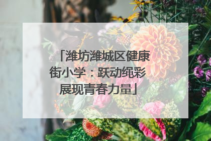 潍坊潍城区健康街小学：跃动绳彩展现青春力量