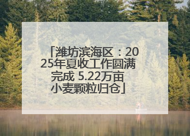 潍坊滨海区：2025年夏收工作圆满完成 5.22万亩小麦颗粒归仓