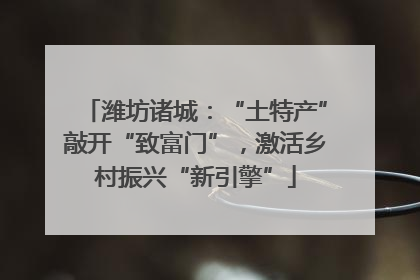 潍坊诸城：“土特产”敲开“致富门”，激活乡村振兴“新引擎”