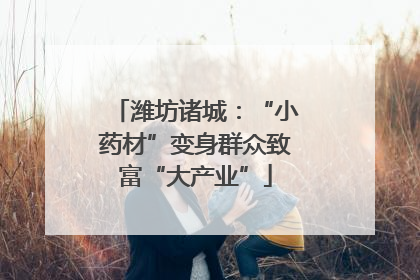 潍坊诸城：“小药材”变身群众致富“大产业”