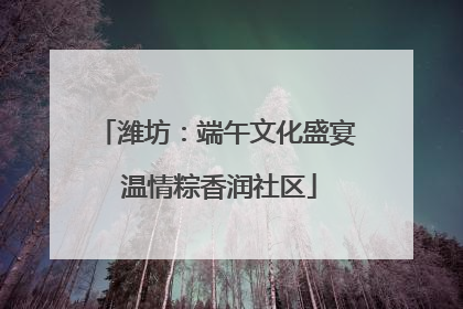 潍坊：端午文化盛宴 温情粽香润社区