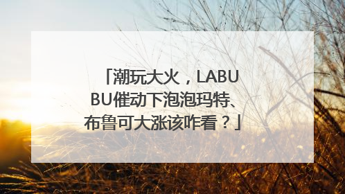 潮玩大火，LABUBU催动下泡泡玛特、布鲁可大涨该咋看？