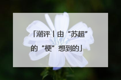 潮评丨由“苏超”的“梗”想到的