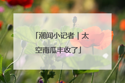 潮闻小记者｜太空南瓜丰收了