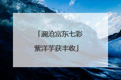 澜沧富东七彩紫洋芋获丰收