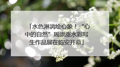水色淋漓绘心象！“心中的自然”周崇涨水彩写生作品展在临安开幕