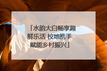 水韵大白畅享趣鲜乐活 校地携手赋能乡村振兴