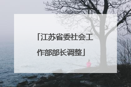 江苏省委社会工作部部长调整