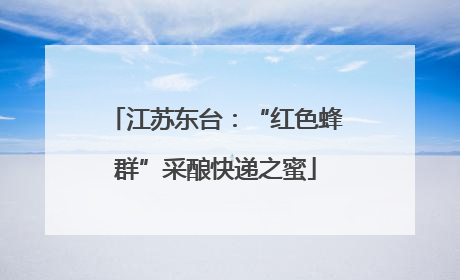 江苏东台：“红色蜂群”采酿快递之蜜